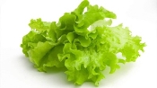 Листя салату: цінний склад і корисні властивості • Фітнес Україна - Fitness  UA